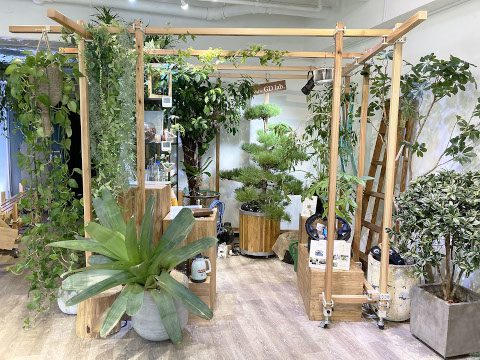 植物を用いた良質な空間