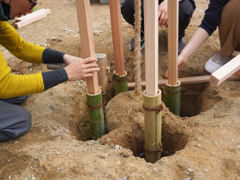 樹木の成長を促す割竹挿入縦穴式土壌改良法