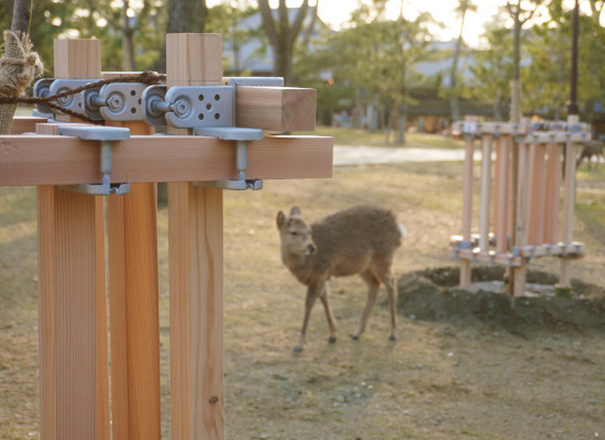 『つな木つながる』プロジェクト